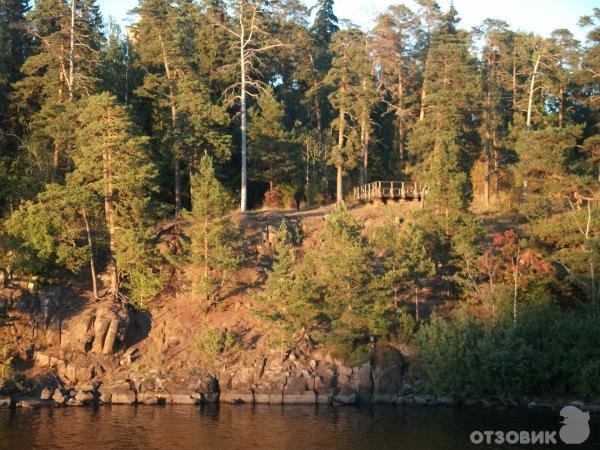 Речной круиз СПб-Верхние Мандроги-Кижи-Валаам-СПб на теплоходе Владимир Маяковский фото