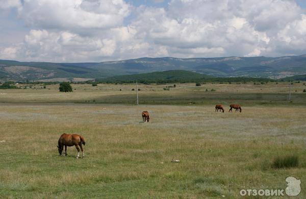 Байдарская долина