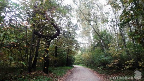 Природно-исторический парк «Кузьминки-Люблино» (Россия, Москва) фото