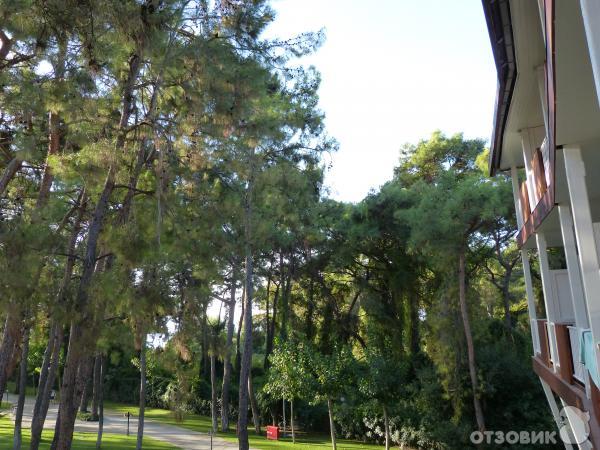 Отель Mirada Del Mar Hotel (Турция, Кемер) фото