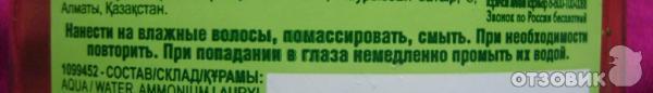 Шампунь Garnier Fructis Свежесть Мохито фото