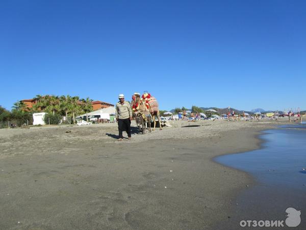 Atlas Beach hotel Турция Аланья