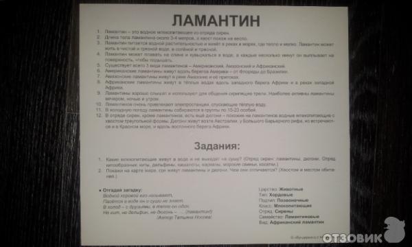 оборотная сторона
