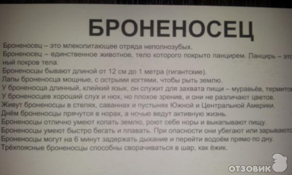 интересные факты о броненосце