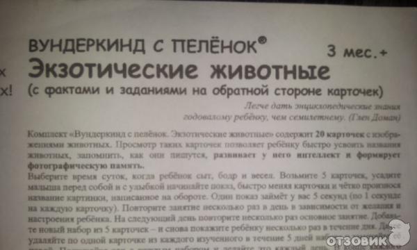 экзотические животные