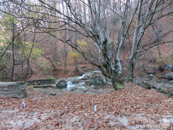 Большой Каньон Крыма (Украина, Крым) фото