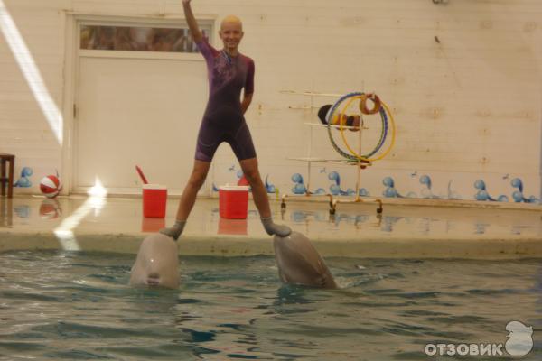 Дельфинарий Troy Aqua & Dolphinarium (Турция, Белек) фото