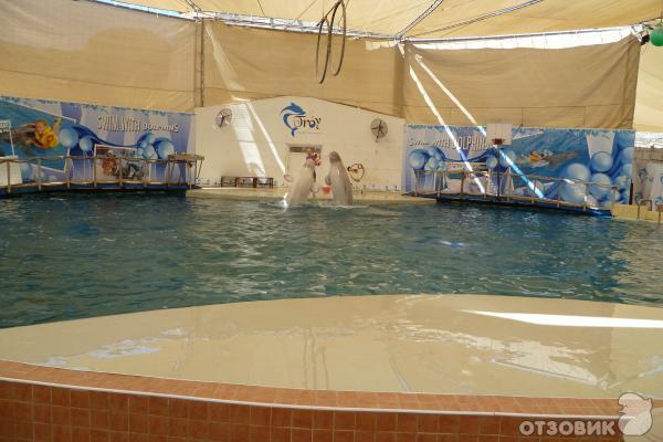 Дельфинарий Troy Aqua & Dolphinarium (Турция, Белек) фото