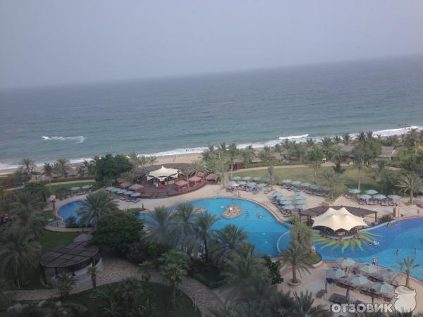 Отель Le Meridien Al Aqah Beach Resort 5* (ОАЭ, Фуджейра) фото