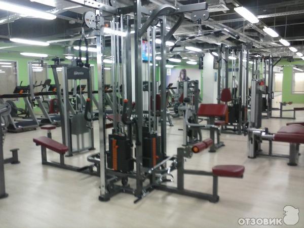 Alex fitness новая ул 4 оренбург фото