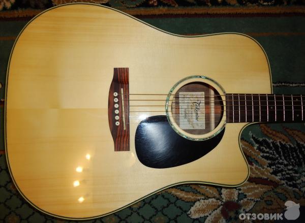 TAKAMINE G SERIES