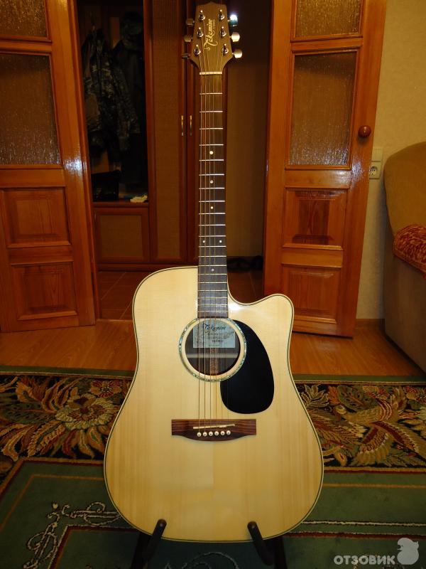 Takamine G-Series