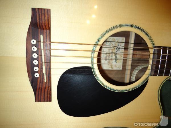 Takamine G-Series