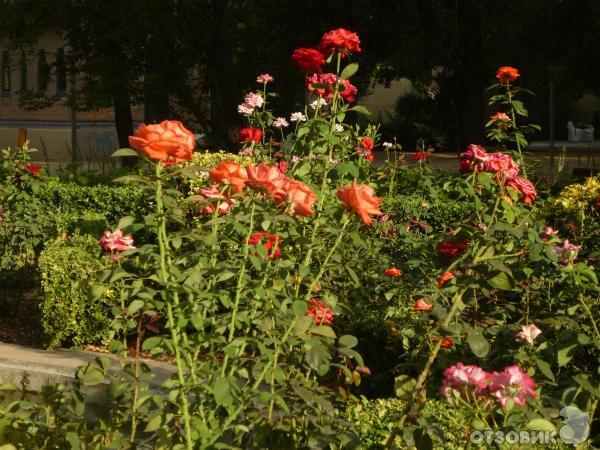 Парк Елисейские поля (Parque Los Campos Eliseos de Lerida) (Испания, Лерида) фото