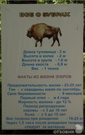 Ответы на вопрос зубр - сообщение доклад