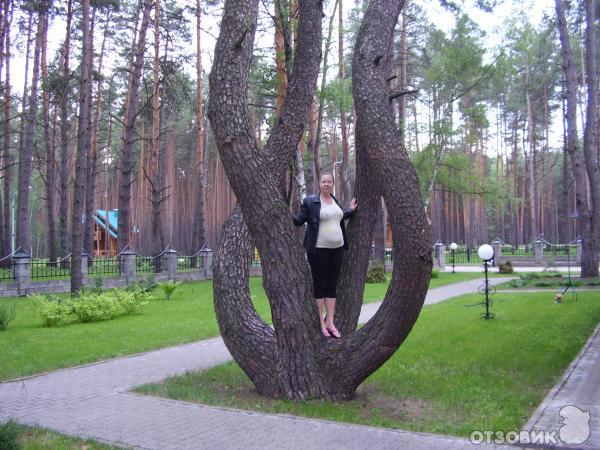 Красиво Санаторий Белгородская Область Цена