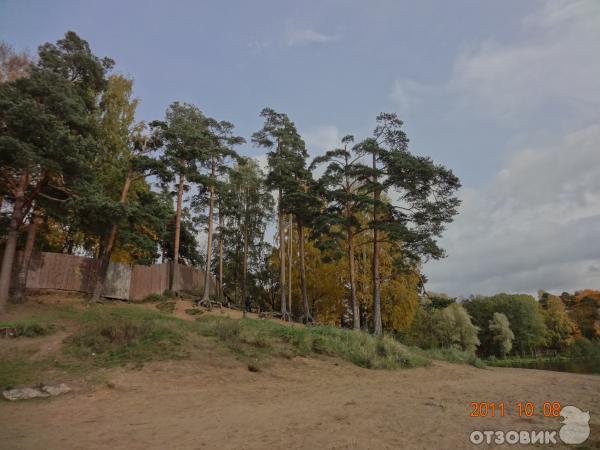 Суздальские озера (Россия, Санкт-Петербург) фото