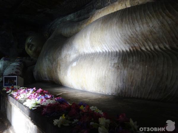 Экскурсия в храм Золотого Будды (Шри-Ланка, Дамбулла) фото