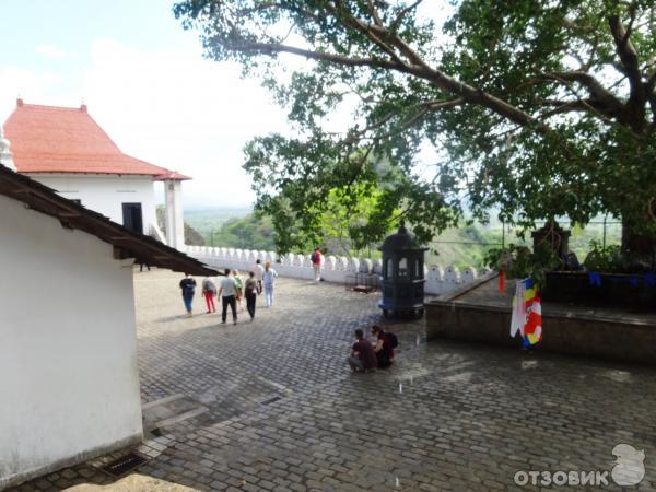 Экскурсия в храм Золотого Будды (Шри-Ланка, Дамбулла) фото