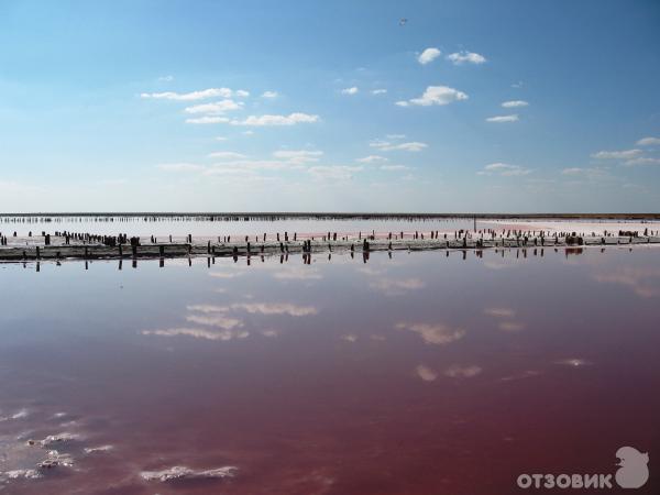 Геническое соляное озеро (Украина) фото