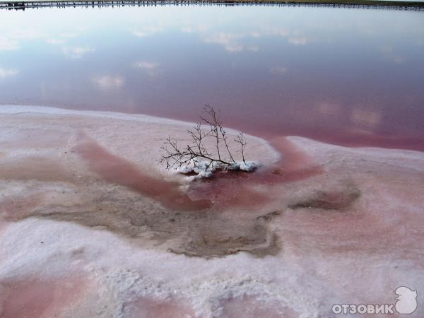 Геническое соляное озеро (Украина) фото