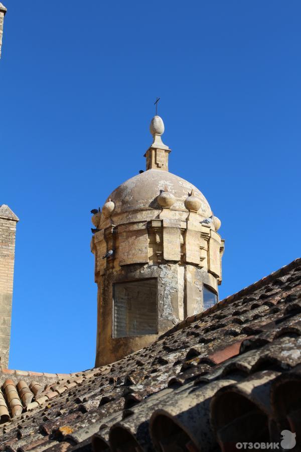 Дворец Алькасар (Alcazar de los Reyes Cristianos) (Испания, Кордова) фото