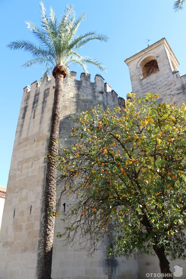 Дворец Алькасар (Alcazar de los Reyes Cristianos) (Испания, Кордова) фото