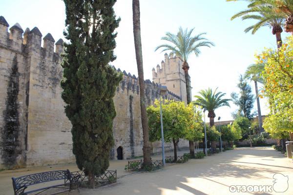 Дворец Алькасар (Alcazar de los Reyes Cristianos) (Испания, Кордова) фото