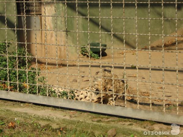 Зоопарк и Аквариум Барселоны (Испания, Барселона) фото